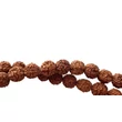 Rudraksha mala 108 szemes