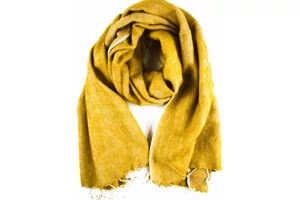 yak-gyapju-sal-avignoni-sarga