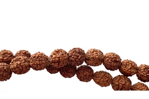rudraksha-mala-84-cm