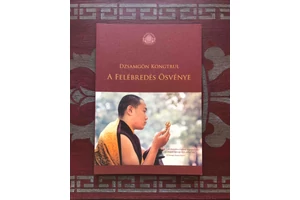jamgon-kongtrul-rinpoche-a felebredes-osvenye-konyv