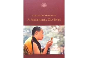 jamgon-kongtrul-rinpoche-a felebredes-osvenye-konyv
